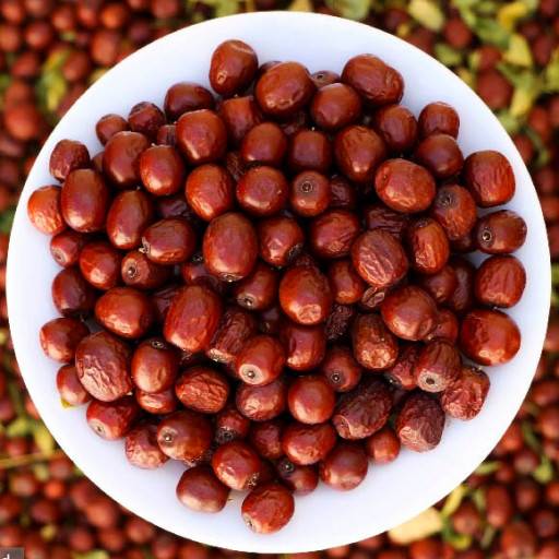 عناب متوسط